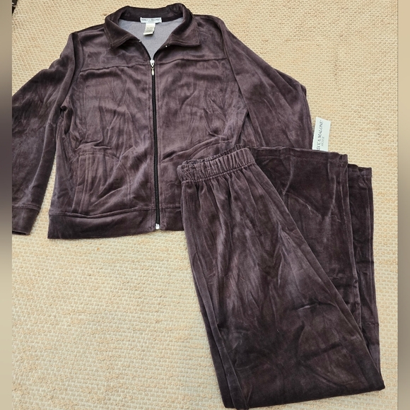 Rebecca MALONE 2 Piece Brown Outfit Zip Jacket &  Pants Medium Petite Size - Picture 9 of 12